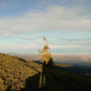 Meet your Posher, Patrice